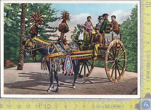 Carretto SIciliano - Sicilian Barrow- 1949 - Cartolina - Postcard