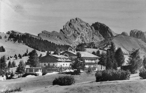 Cartolina - Alpe di Siusi Albergo Rifugio Steger 1956