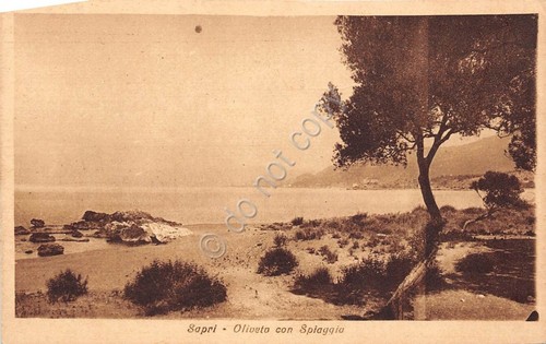 Cartolina - Assisi - Santuario S. Damiano - Clarisse - …