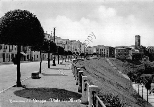 Cartolina - Bassano del Grappa Viale dei Martiri