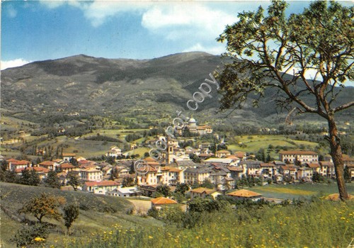 Cartolina - Bedonia panorama 1965