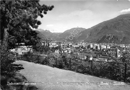 Cartolina - Bolzano panorama 1955