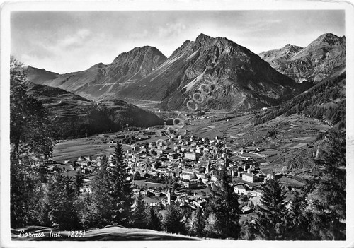 Cartolina - Bormio Panorama 1954