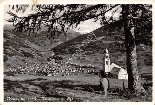 Cartolina - Bormio panorama da Oga 1963