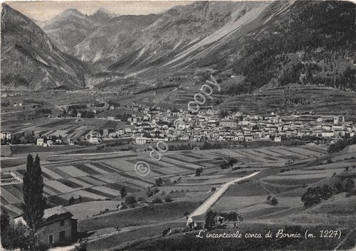 Cartolina - Bormio panorama della conca 1951