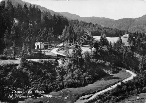 Cartolina - Borno Pineta del Lazzaretto 1963