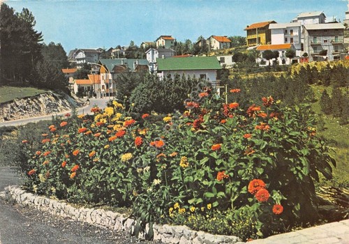 Cartolina - Campo di Giove - panorama parziale - NVG