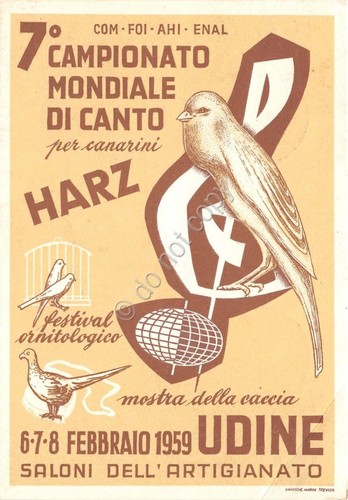 Cartolina - Canto canarini - Campionato Mondiale - Timbro filatelico …
