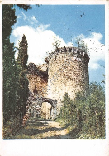 Cartolina - Castrocaro castello 1963