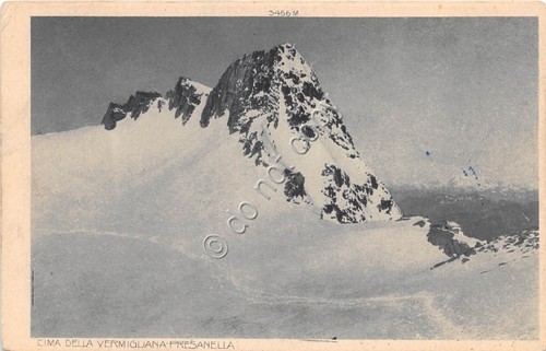 Cartolina - cima della Vermigliana Presanella anni '30
