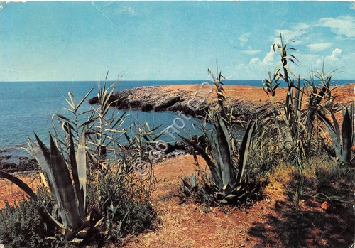 Cartolina - Cirella Scogliere Punta Nuova (Cosenza)