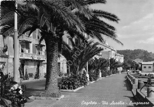 Cartolina - Cogoleto - Via Aurelia - Lungomare - 1955