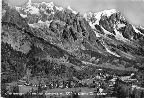 Cartolina - Courmayeur Entreves panorama 1958