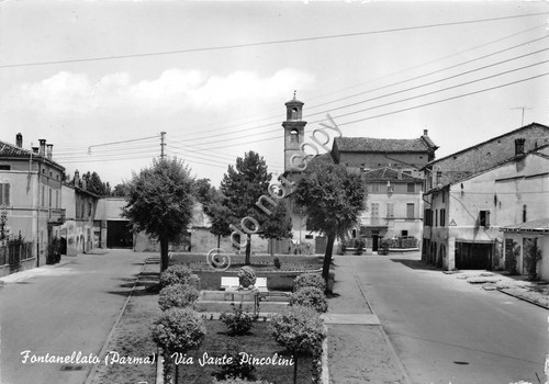 Cartolina - Fontanellato Via Sante Pincolini