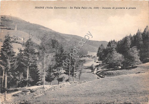 Cartolina - Fraine Valle Palot Praterie e pinete