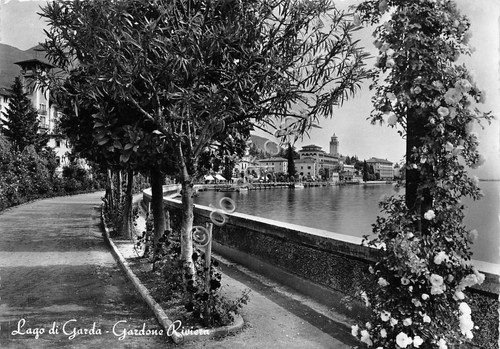 Cartolina - Gardone Riviera Panorama Lungolago