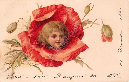 Cartolina - Illustrata - bambina - papavero - 1900