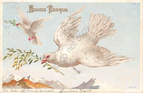 Cartolina - Illustrata - Buona Pasqua - in rilevo - …