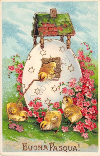 Cartolina - Illustrata - Buona Pasqua - Pulcini - uovo …