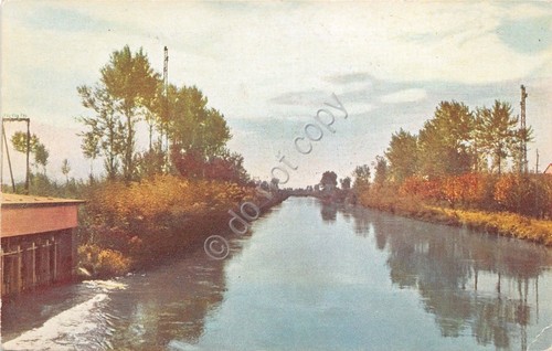 Cartolina - Illustrata - San Germano Vercellese - Canale Cavour …