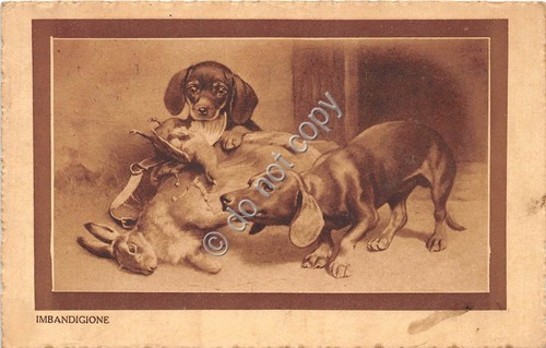 Cartolina - illustrata Imbandigione cani che mangiano coniglio e uccello …