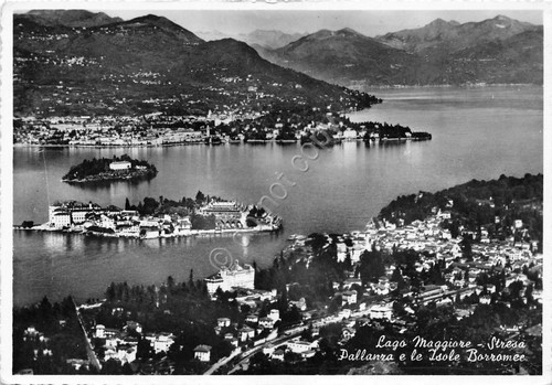 Cartolina - Lago Maggiore - Stresa - Panorama - 1955