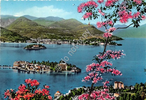 Cartolina - Lago Maggiore Isole e Pallanza 1964 (Bolzano)