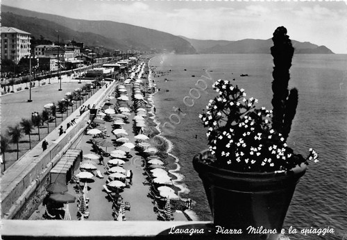 Cartolina - Lavagna - Piazza Milano - Spiaggia - 1954