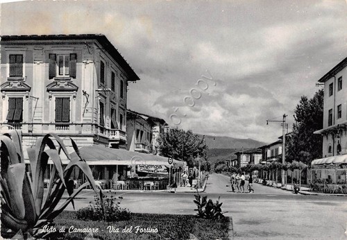 Cartolina - Lido di Camaiore - Via del Fortino - …