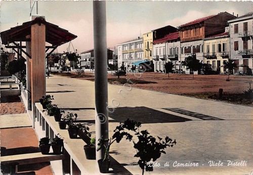 Cartolina - Lido di Camaiore - Viale Pistelli - 1954