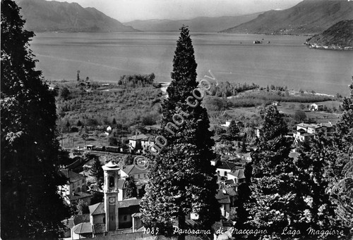 Cartolina - Maccagno Panorama