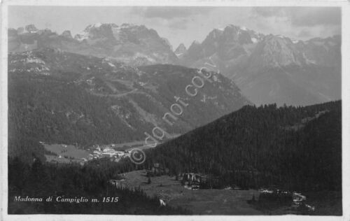 Cartolina - Madonna di Campiglio - Panorama - anni '40