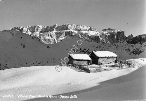Cartolina - Mont de Seura Gruppo Sella Alpe di Siusi …