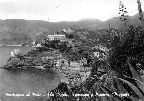 Cartolina - Monterosso - Panorama - Pensione Pasquale - 1959