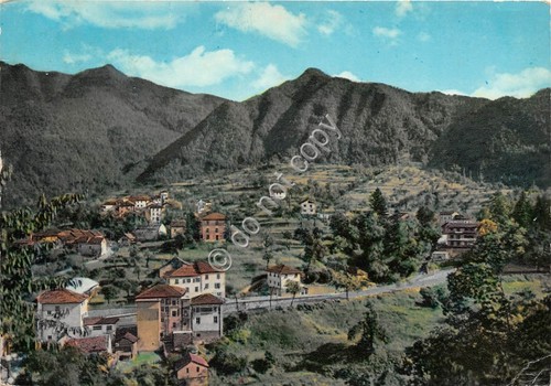 Cartolina - Montoggio vista di Carpi e Villa Cà 1964