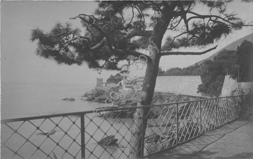 Cartolina - Nervi - Panorama - NVG
