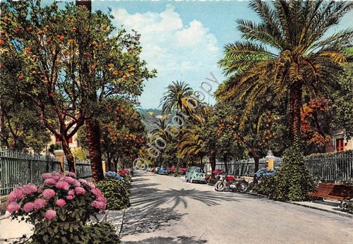 Cartolina - Nervi Viale delle Palme 1967 (Genova)