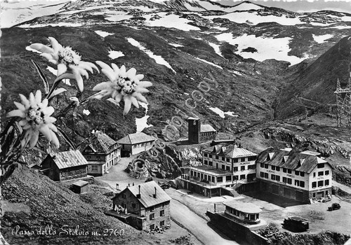 Cartolina - Passo dello Stelvio panorama dall'alto stelle alpine anni …