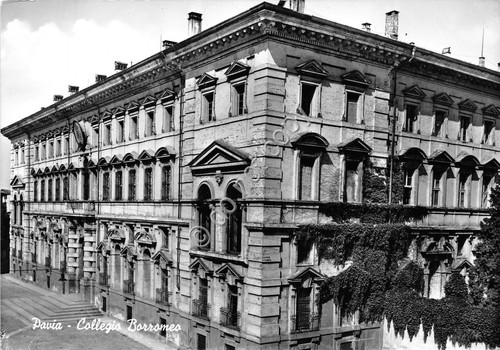 Cartolina - Pavia Collegio Borromeo