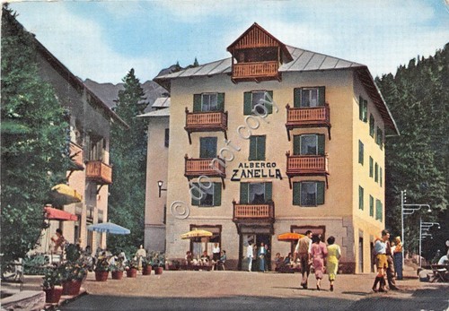 Cartolina - Pejo Alberghi Zanella 1963