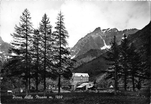 Cartolina - Piano della Mussa - Panorama - 1956