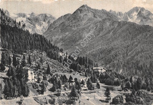 Cartolina - Ponte di Legno Colonia Montecatini Cassa di Risparmio …