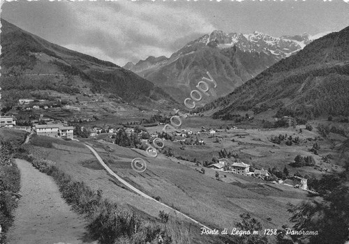 Cartolina - Ponte di Legno panorama 1956