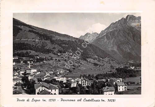 Cartolina - Ponte di Legno Panorama con Castellaccio 1950