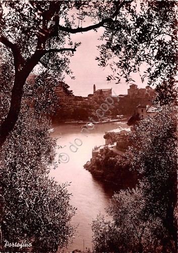 Cartolina - Portofino - Scorcio - Fotocelere - NVG