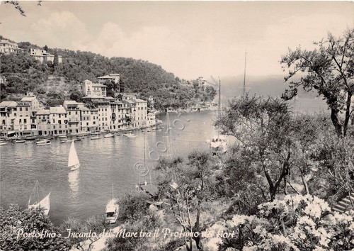 Cartolina - Portofino - Vista fra mare e fiori - …