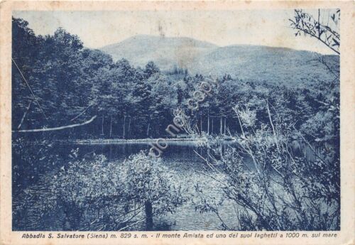 Cartolina - Postcard - Abbadia S. Salvatore - Laghetto - …