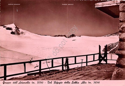 Cartolina - Postcard - Adamello - dal Rifugio della Lobbia …