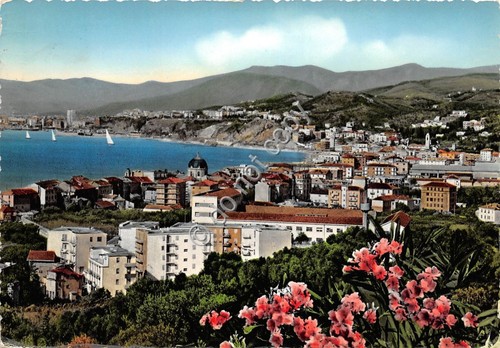Cartolina - Postcard - Albisola panorama da Levante 1957 (Savona)