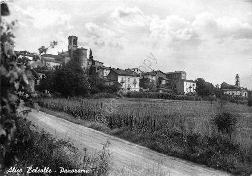 Cartolina - Postcard - Alice Belcolle - panorama - 1979 …